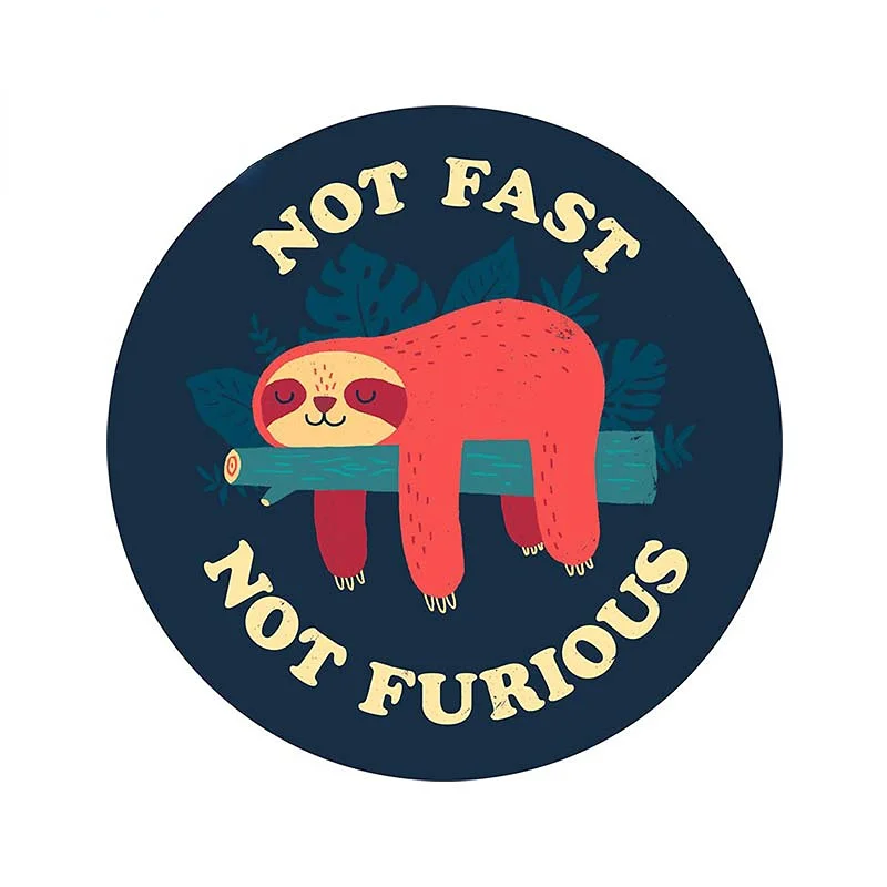 Car Accessories You Need - 13cm Not Fast Not Furious 트렁크