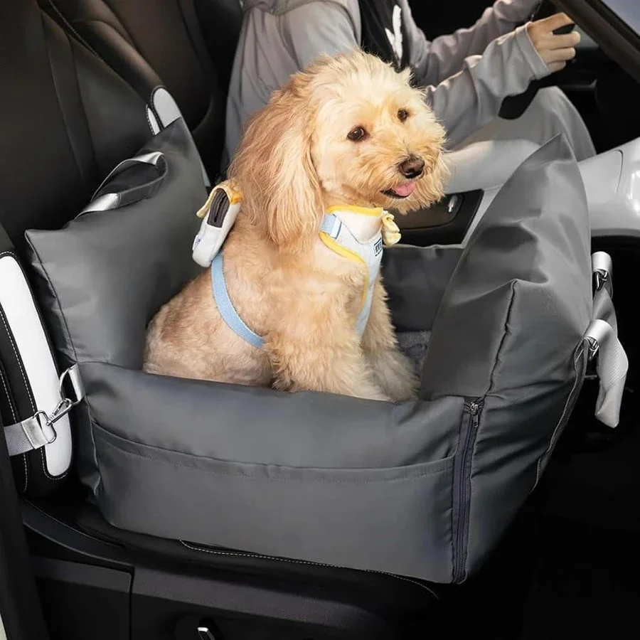 Car Accessories Under 100 - 소형견용 레저 소형견 카시트 - 차량용
