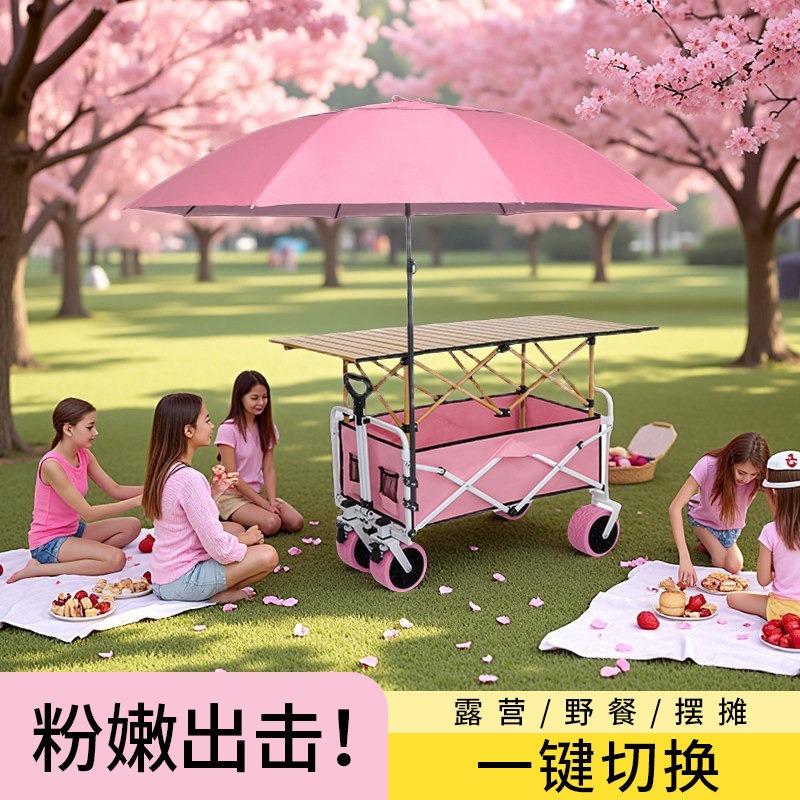 핑크 캠퍼 접이식 스톨 트롤리 휴대용 야외 캠핑 피크닉 - Car Accessories You Must Have 리뷰 및 가격