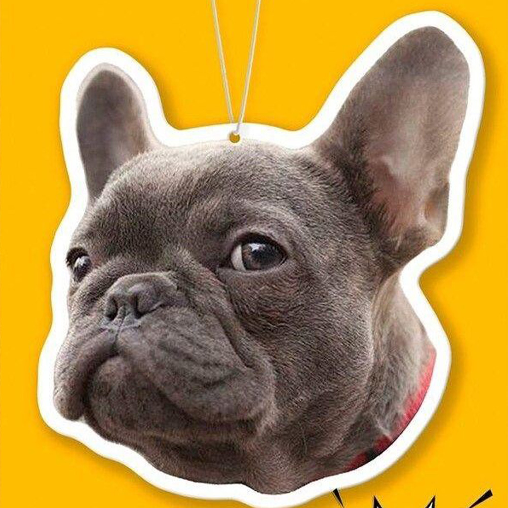 1PC 맞춤형 PMMA 자동차 걸이 - 개인 맞춤 이미 - Car Accessories For Baby 리뷰 및 가격
